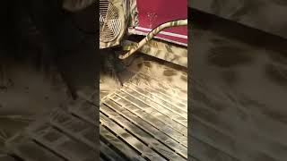 Обзор Лодки болотоход из пнд