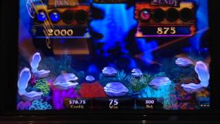 Venture to never isle storybook bonus at max bet