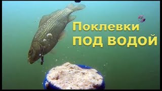 На РЫБАЛКЕ, Подводные съемки поклевок на: поплавок, донку, снасть "Пробка", Макушатник, Фидер