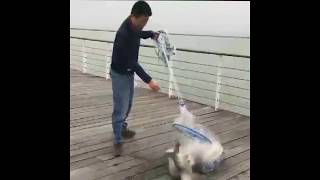 сеть кастинговая с пластиковым кольцом , супер улов network casting with plastic ring, super catch