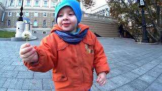 Яркие моменты Риша дарит маме одуванчик/Будни блогера Тодирица Ринат Видео 4К