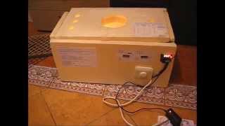 самодельный пенопластовый инкубатор. homemade styrofoam incubator