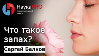 Что такое запах и обоняние? – химик-флейворист Сергей Белков | Научпоп