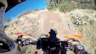 Sequoia Forest vid 1