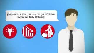 Auditoría Energía Eléctrica | Arlangton