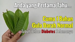 BARU TERUNGKAP!!! HANYA PAKAI DAUN INI, DIABETES SEMBUH SECARA ALAMI
