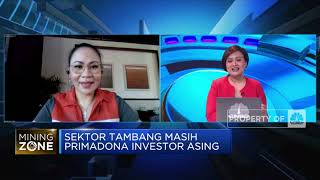Sektor Tambang Masih Primadona Investor Asing, Tesla Termasuk?