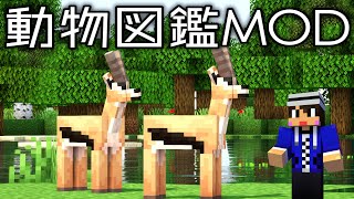 #18【動物図鑑MOD】ネザーの幻獣種と新MOD導入!!【あかがみん/赤髪のとも】