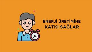 BAĞIŞIKLIĞA DESTEK - Optilife 3'lü Etki