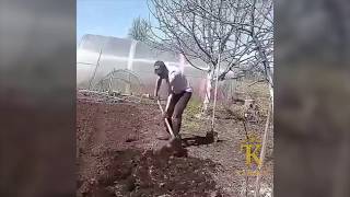 Ауылда эш күп | Башкирский прикол