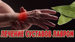 ★ЛЕЧЕНИЕ СУСТАВОВ ног и рук лавровым листом. Рецепт ОЧИЩЕНИЯ СУСТАВОВ листьями лавра и желатином.