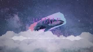 [무료비트] 자기 이야기하면서 랩하기 좋은 트랩비트_"WHALE" Prod. By SWJ