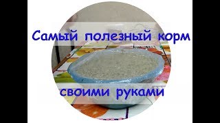 Самый полезный корм своими руками для рыбок раков улиток