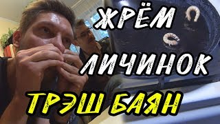ТРЭШ БАЯН - ЕДИМ ЛИЧИНОК, ПРОКОЛ НОСА, В СТРИНГАХ В ПРОРУБЬ