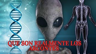 PERO QUE SON REALMENTE LOS ARCONTES