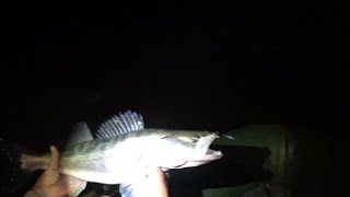 DAIWA Morethan Steez Shad 54SP.Маленький,но судака ловит хорошего.И жереха тоже.