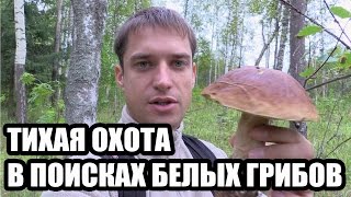 Тихая Охота - В Поисках Белых Грибов