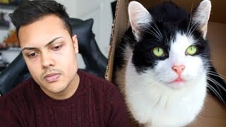 my cat rocky has passed away...