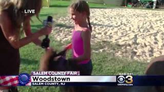 Reporter Tries To Interview Girl With Micro Mini Pony, Things Go Terribly Wrong