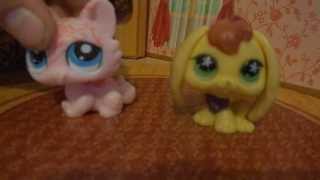 Распакованые пэты LPS Littlest Pet Shop знакомимся: Кролик (Подделки)