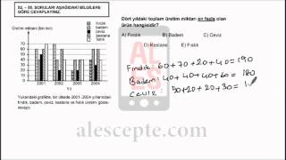 2006 G M 1 53 ALES Matematik