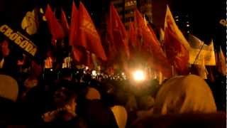 Мітинг біля ЦВК 12.11.12 Виступ Олександра Бригинця.