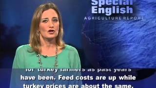 Phát âm chuẩn cùng VOA - Anh ngữ đặc biệt: Thanksgiving (VOA)