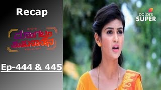 Mangalyam Tantunanena - Episode -444 & 445 - Recap - ಮಂಗಲ್ಯಮ್ ತಂತುನಾನೇನ