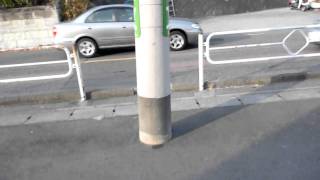 地震で電柱が・・・