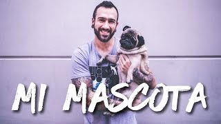 EL SUPERPODER DE MI PERRO | FURRY FRIEND TAG