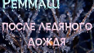 Реммаш После ледяного дождя   2016