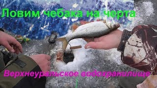 Ловим чебака на Верхнеуральском водохранилище(Море) 22.11.17