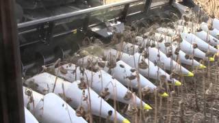 Geringhoff Corn Heads with Sunflower Attachments
