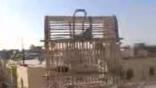 تغريد بلبل بري - بلابل البصرة ( حيدر الخياط )