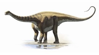 Prehistoric News : First Dinosaurs from Saudi Arabia