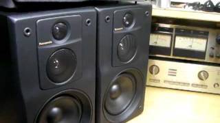 Panasonic SB-CH55 Speaker System (Bass I Love You)
