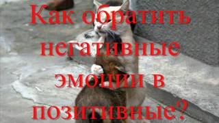 Человек, познай себя