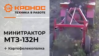 Картофелекопалка к минитрактору МТЗ 132Н в работе (kronos5.by/kronos5.ru)