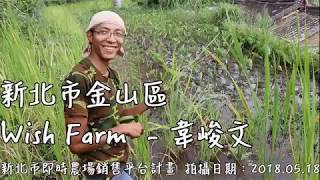 金山區-韋許農場 Wish Farm-短期葉菜類 _ 新北市即時農場銷售平台計畫