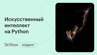 Конструктор ботов Telegram. Марафон по написанию кода на Python