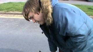 Ollie the cat lover