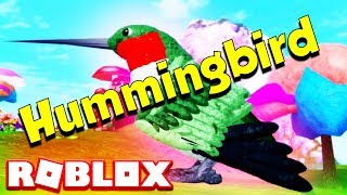 HOW TO PLAY AS A HUMMINGBIRD ON ROBLOX (FEATHER FAMILY)