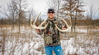 Whitetail Sheds & Deads 2014