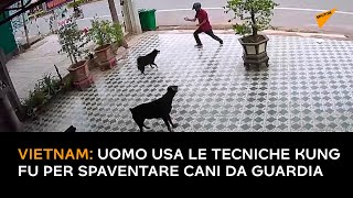 Vietnam: uomo usa le tecniche kung fu per spaventare i feroci cani da guardia