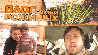 VLOG: МАША СОБИРАЕТСЯ В САДИК, СКОЛЬКО ВЫПЛАТИТ СТРАХОВАЯ, ПОЕЗДКА НА СТО, ОГРОМНАЯ КАРТОШКА
