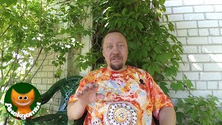 Как Илья Муромец дебилом стал. #Анекдоты