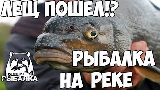 Рыбалка на реке. Ловим леща! - Русская Рыбалка 4