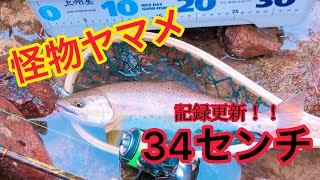 2019年 尺ヤマメ  渓流ルアー　Lure fishing