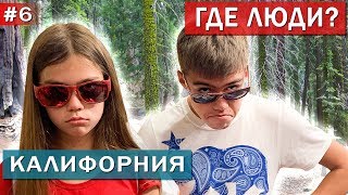 Амега фемели путешествуют на машине по штату Калифорния