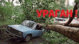 Ураган в Москве и последствия . Нарезка